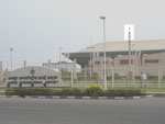Copper Lotus (7 Feet) (Jaipur Airport)